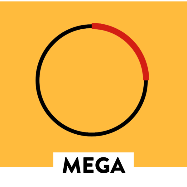 MEGA - Basic Service (Description Only)